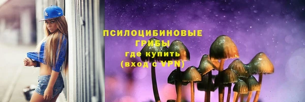 синтетический гашиш Богородицк