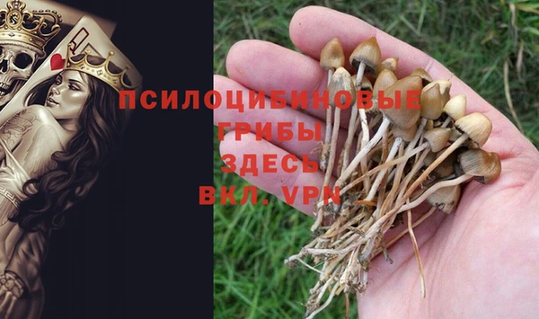 бутират Богданович